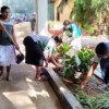 Home gardening program implemented in the office premises